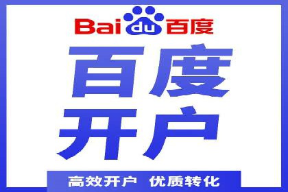 某公司通过百度竞价实现业务快速增长的案例